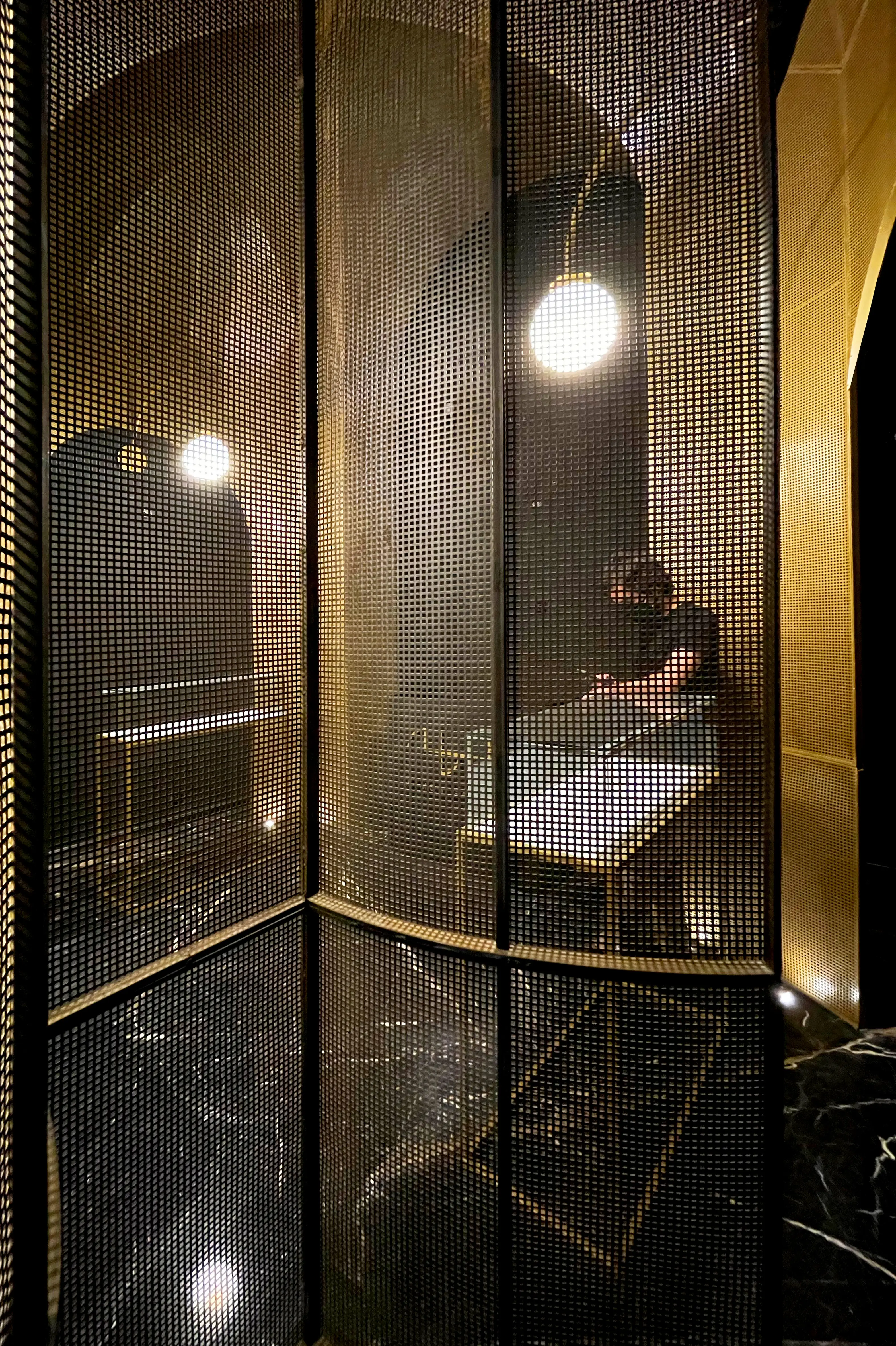 نمای هنری از پوسته فلزی و مشبک گالری هیمه